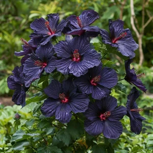 Гибискус Мэджик Момент купить по цене от 699р. в интернет-магазине «Посадика» с доставкой почтой в в Тюкалинске и по всей России – [изображение №1].